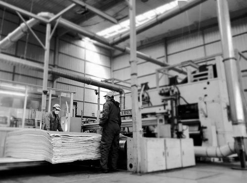 长春市职工手机纪实摄影展获奖作品揭晓 以镜头记录“中国梦·劳动美·战疫情·复生产”动人篇章